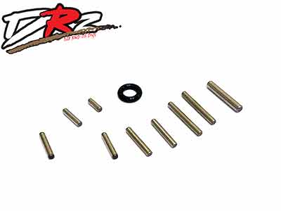 DRZ PIN SET DRZ029